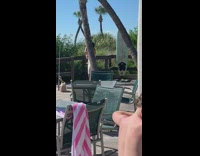 White dress girl dog hat blue surfboard 