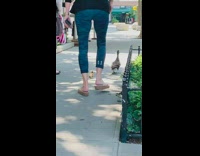 People stop traffic duck crosses road