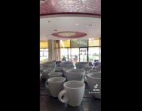 White mug on plates like concert crowd 