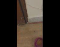 Girl shakes food bowl cat opens door