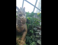 Brown dragon sculpture with a weird face