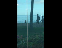 Woman black tube pose at beach tree