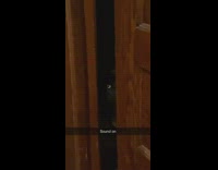 Cat in door scared by meow 