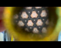 Kaleidoscope pattern with face of baby