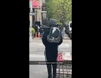 Two Birds Sit Inside See Through Backpack 