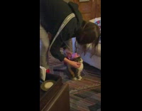 Girl puts pink cowboy hat on cat 