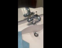 Woman tries to catch queen wasp 