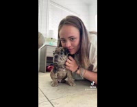 Girl shows off cute puppy shes dogsitting 