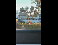 Woman Carmen Sandiego costume selfie park sing