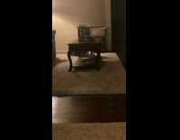 Girl with blue kazoo confuses cat and dog pet