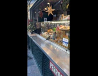 Gray bird stands on food cart counter