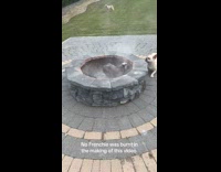 Collab Clips MPUGC - Frenchie dog in pit smoke dust