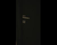 Retriever opens door by itself and walks out