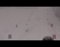 Skier backflips down slope and scorpions into snow