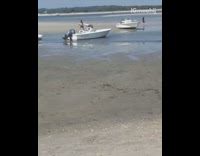 group of guys on the beach argue and start fight 