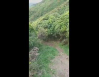 Boy rides green dirt bike up hill 