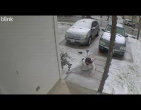 Guy slips on icy front door stairs 