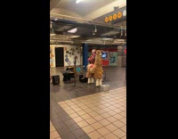 Collab Subway Creatures - Llama statue with a busker on subway
