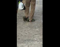 Man wearing strange furry flip flops