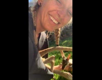 Baby kangaroo goes into womans shirt 