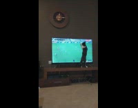 (3RD PARTY CONTENT) Grey Cat Plays with Soccer Ball on TV Screen