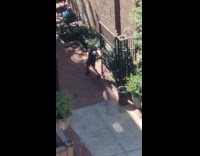 Collab WINY - Man with boxing gloves practices at gate