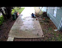 Man fell from tree that is cut