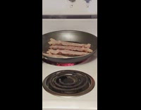 Cat smells bacon for the first time in kitchen 