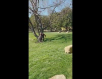 Guy uses video editing to flick will smith with fingers