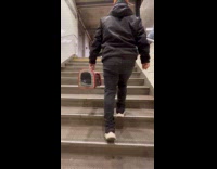 Man walks on stairs holds pigeon carrier