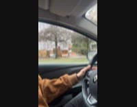 Spider inside of car guy driving