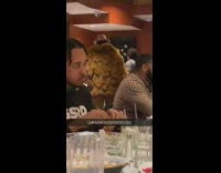 Guy at restaurant wears brown fur jacket 