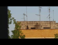 Girl rooftop selfie video tiktok headband