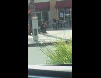 White shirt girl squats bicycle rack car