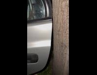 Car door open very close to tree