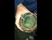 Octopus inside the jar with water touched