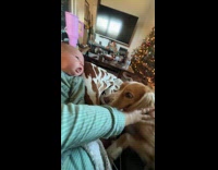 Newborn throws up on dogs face 