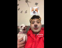 ClipsIG - Man in Red jacket puts Face Filter on to Tease Chihuahua 