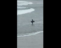 Collab Kook Of The Day - commenting on a surfer with slippers