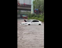 Lady Sits Atop Hood of  Flooded Car