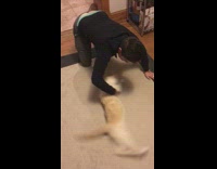 man in black spins white cat