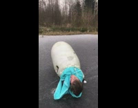 Blue jacket guy inside white container spins 