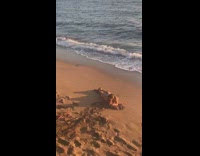 Handful of sand for photo 