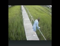 Dog falls off bridge falls in marsh