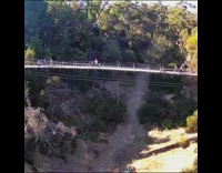 Drone flies over white bridge green trees 