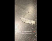 happy thanksgiving condom on floor of subway train