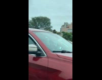 Collab WINY - Car with doll on car window 