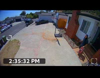 Skateboard Down Driveway Fail