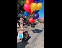 Black pug wear house with balloons costume