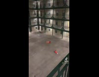 Collab BitchIG2 - Two guys drop cone and trashcan off apartment